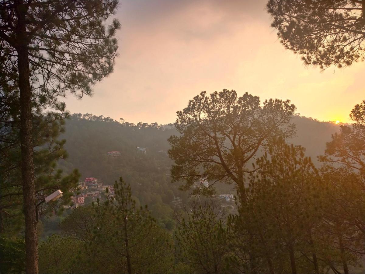 Pine Villa Kasauli Eksteriør billede