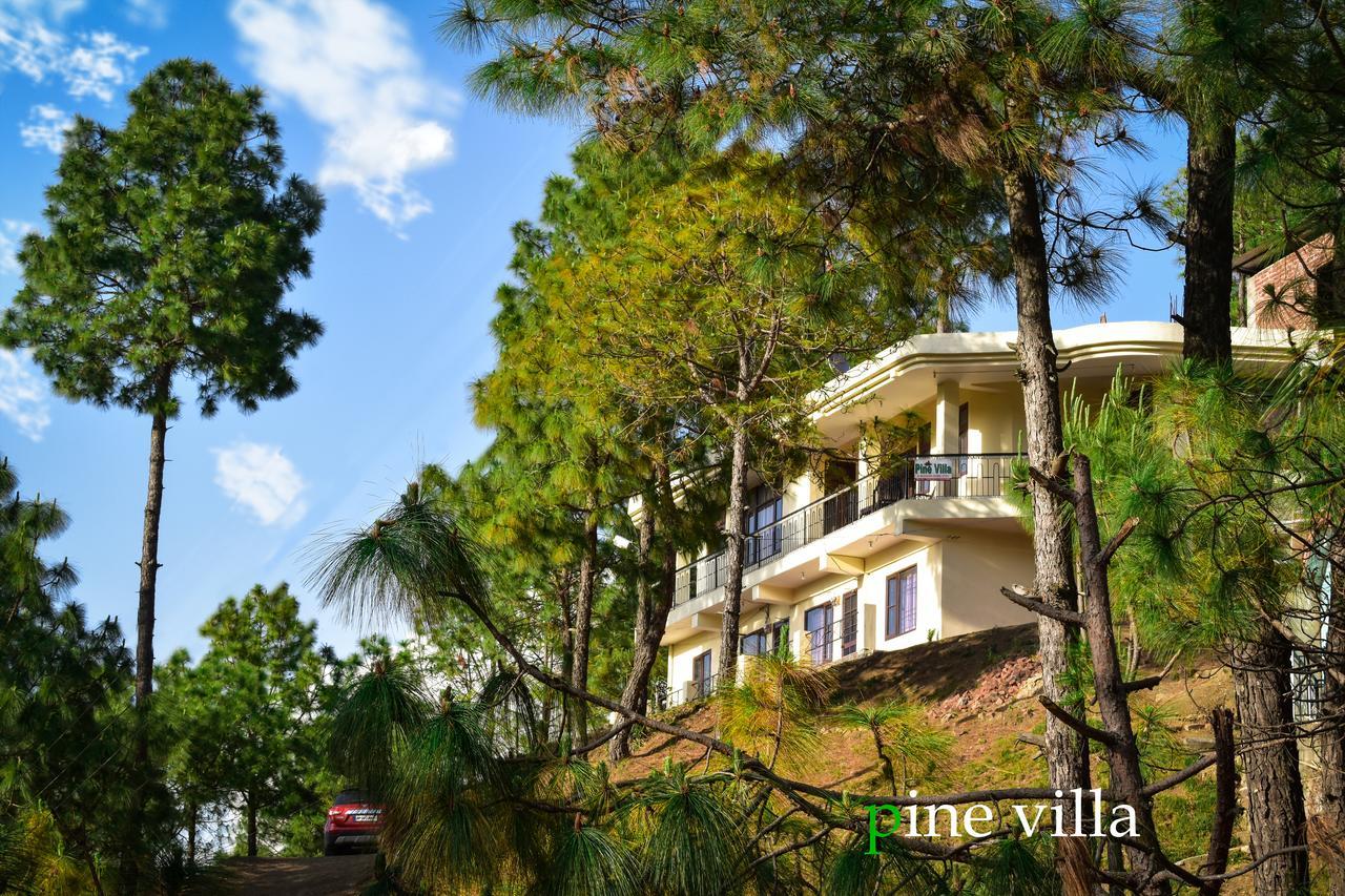 Pine Villa Kasauli Eksteriør billede
